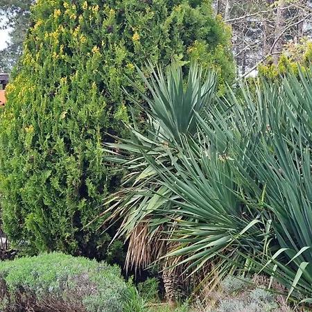 아파트 Eve Santa Marina Sea View - Sea, Pools, Relax 소조폴